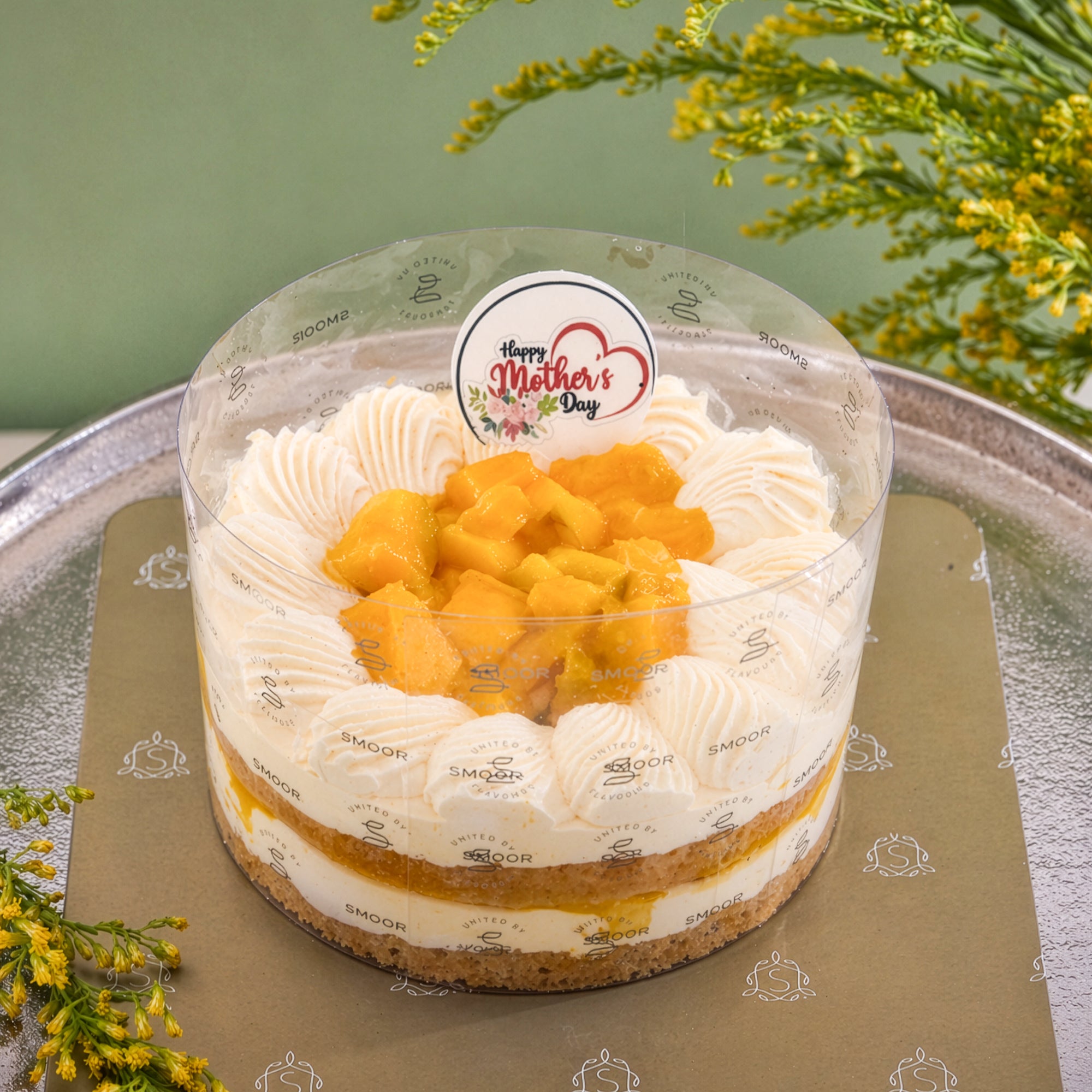 Mango Cake Pull Up