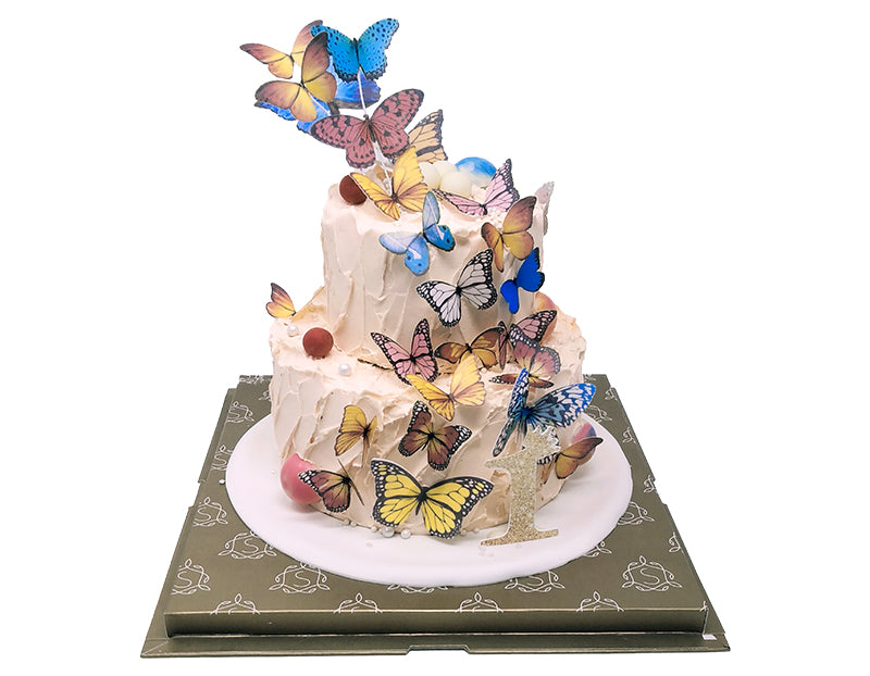 2 Tier Butterfly Cake