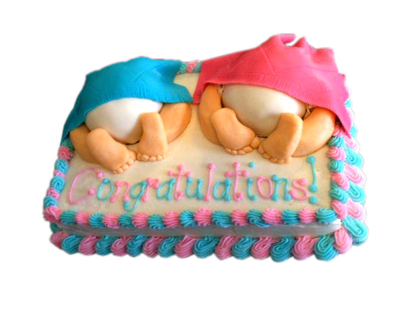 Twin Baby Cake